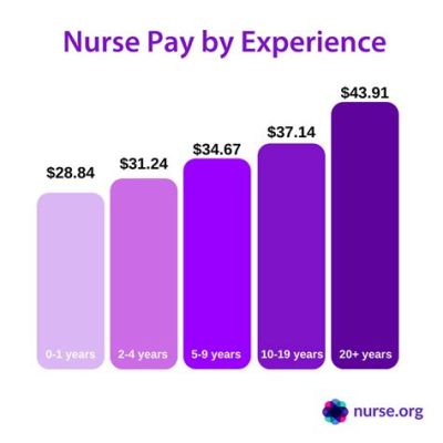 How Much Do Travel LPNs Make: Exploring the Financial Landscape of Travel Nursing