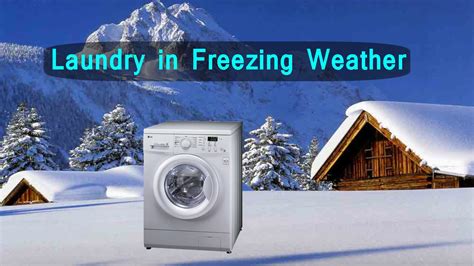 Is It Safe to Do Laundry in Freezing Weather, and Can Penguins Teach Us About Efficient Drying?