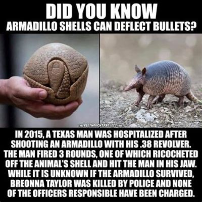 What Animal Shell Can Deflect a Bullet: And Why Do We Even Need to Know?